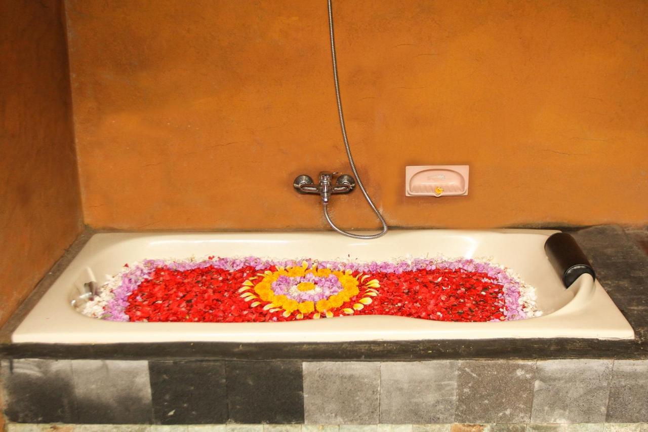 Vinarya Villa Ubud Extérieur photo