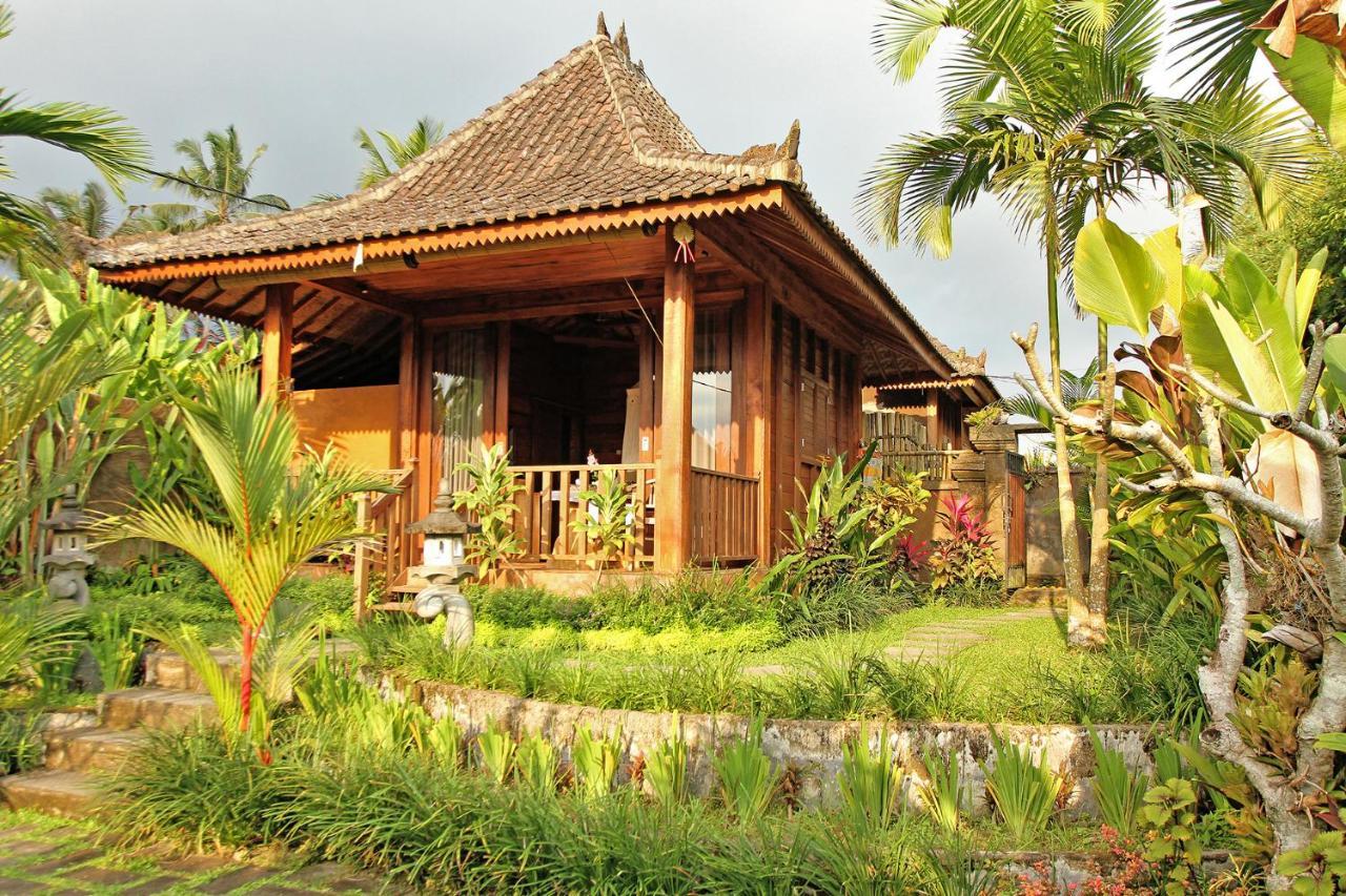 Vinarya Villa Ubud Extérieur photo